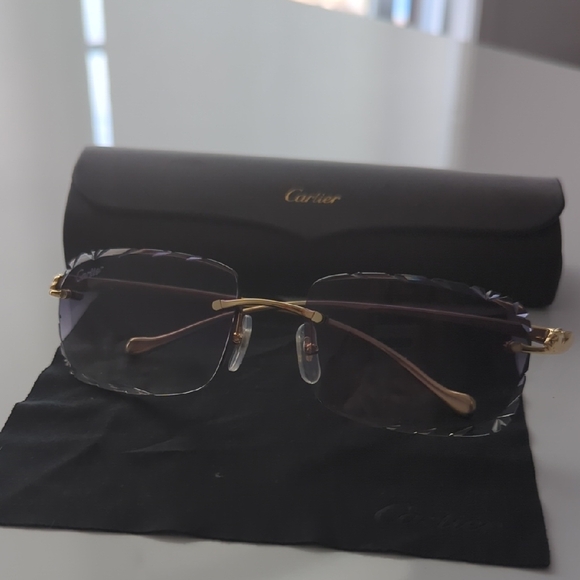 Cartier Unisex Gold Frame Sunglasses with Dark Lenses - Picture 5 of 5